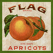 Appricots-Wall Plaque
