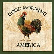 country rooster-wall plaque