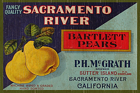Pears-Bartlett-Wall Plaque