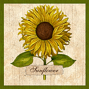 country sumflower-wall plaque