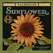 country sunflower-wall plaque