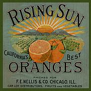 country oranges-wall plaque